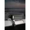 RAM Tough-Claw Double Ball Mount with LED Spotlight